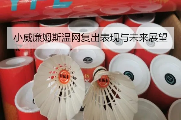 小威廉姆斯温网复出表现与未来展望